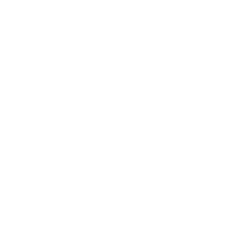 phone-icon